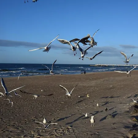 Ponitce Do Weza - * Kołobrzeg