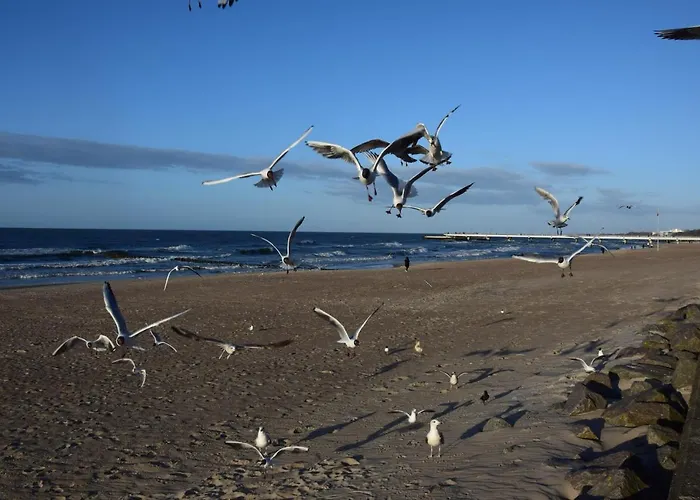 Ponitce Do Weza - * Kołobrzeg